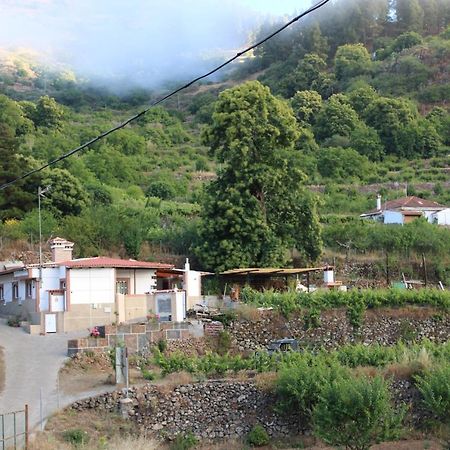 Finca El Cole Villa Las Palmas de Gran Canaria Dış mekan fotoğraf