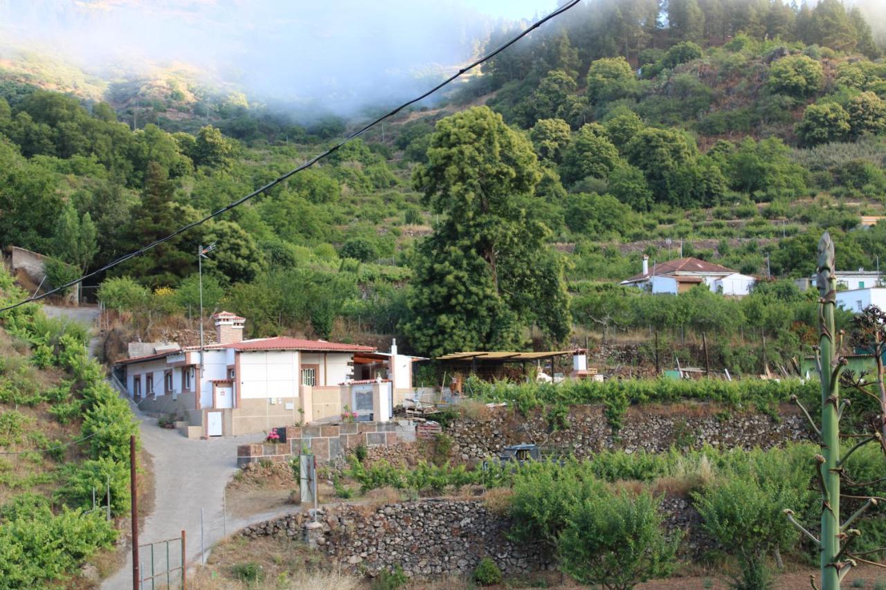 Finca El Cole Villa Las Palmas de Gran Canaria Dış mekan fotoğraf