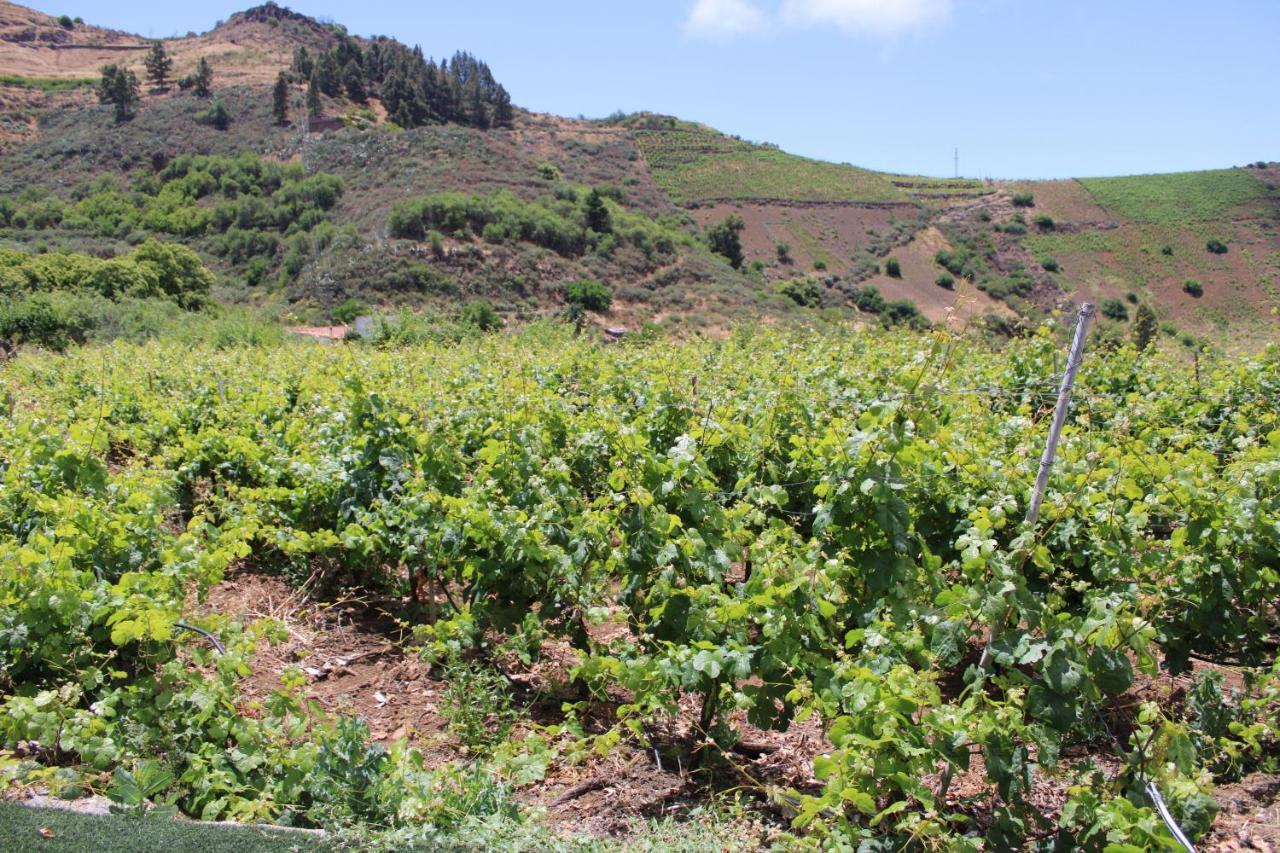 Finca El Cole Villa Las Palmas de Gran Canaria Dış mekan fotoğraf