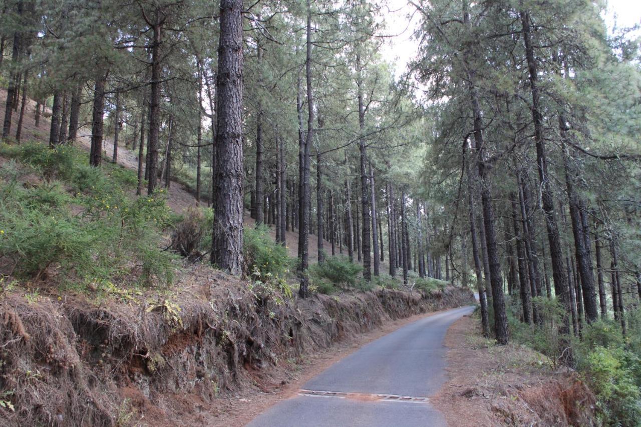 Finca El Cole Villa Las Palmas de Gran Canaria Dış mekan fotoğraf