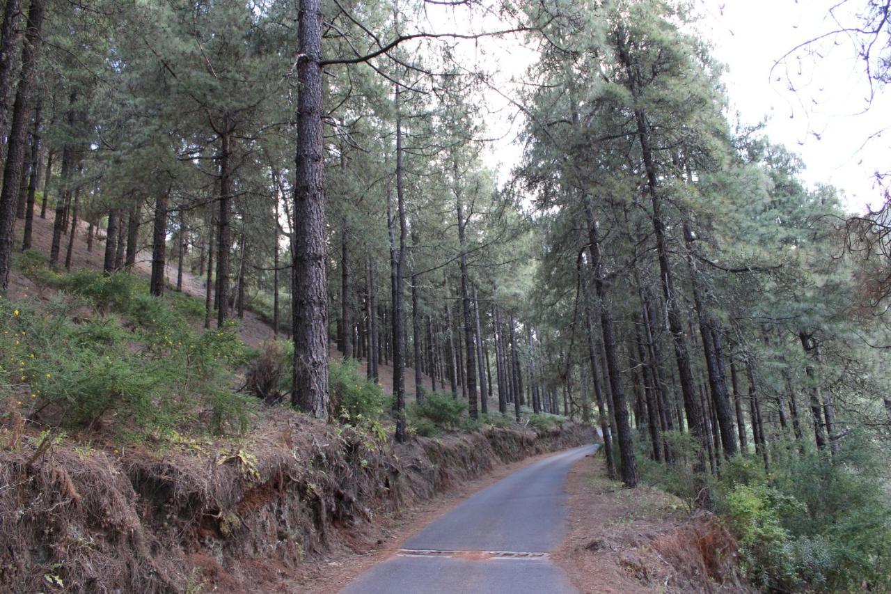 Finca El Cole Villa Las Palmas de Gran Canaria Dış mekan fotoğraf