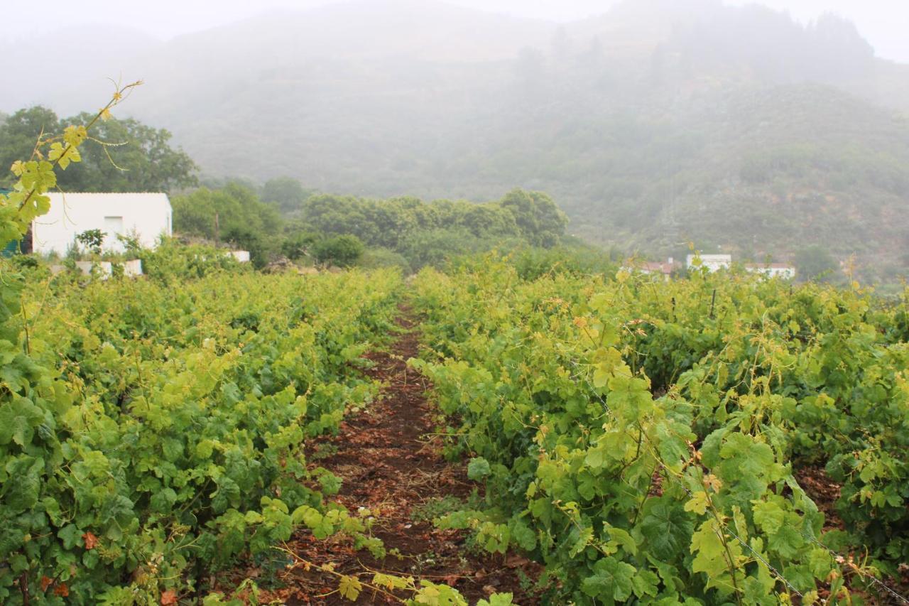 Finca El Cole Villa Las Palmas de Gran Canaria Dış mekan fotoğraf