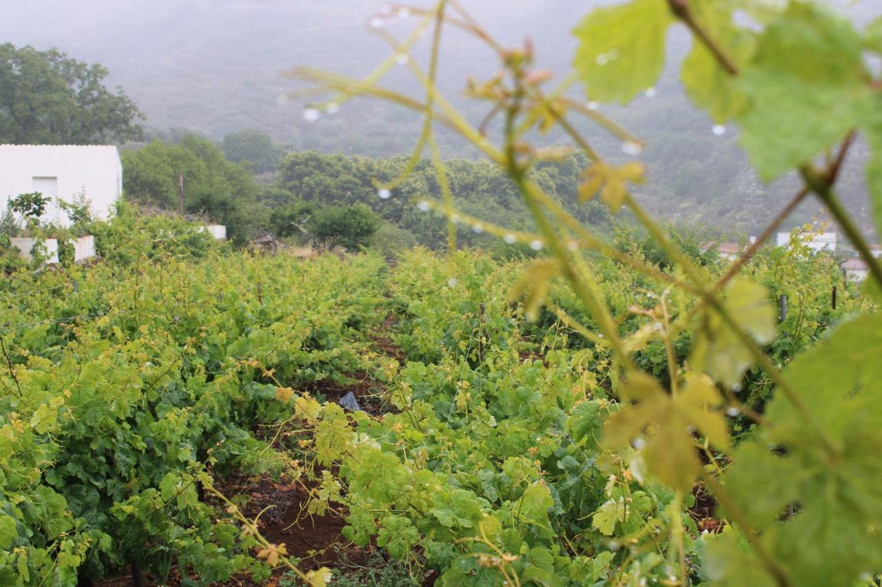 Finca El Cole Villa Las Palmas de Gran Canaria Dış mekan fotoğraf