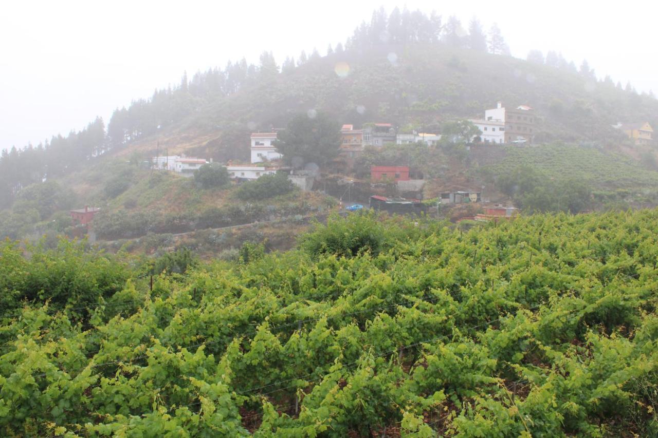 Finca El Cole Villa Las Palmas de Gran Canaria Dış mekan fotoğraf