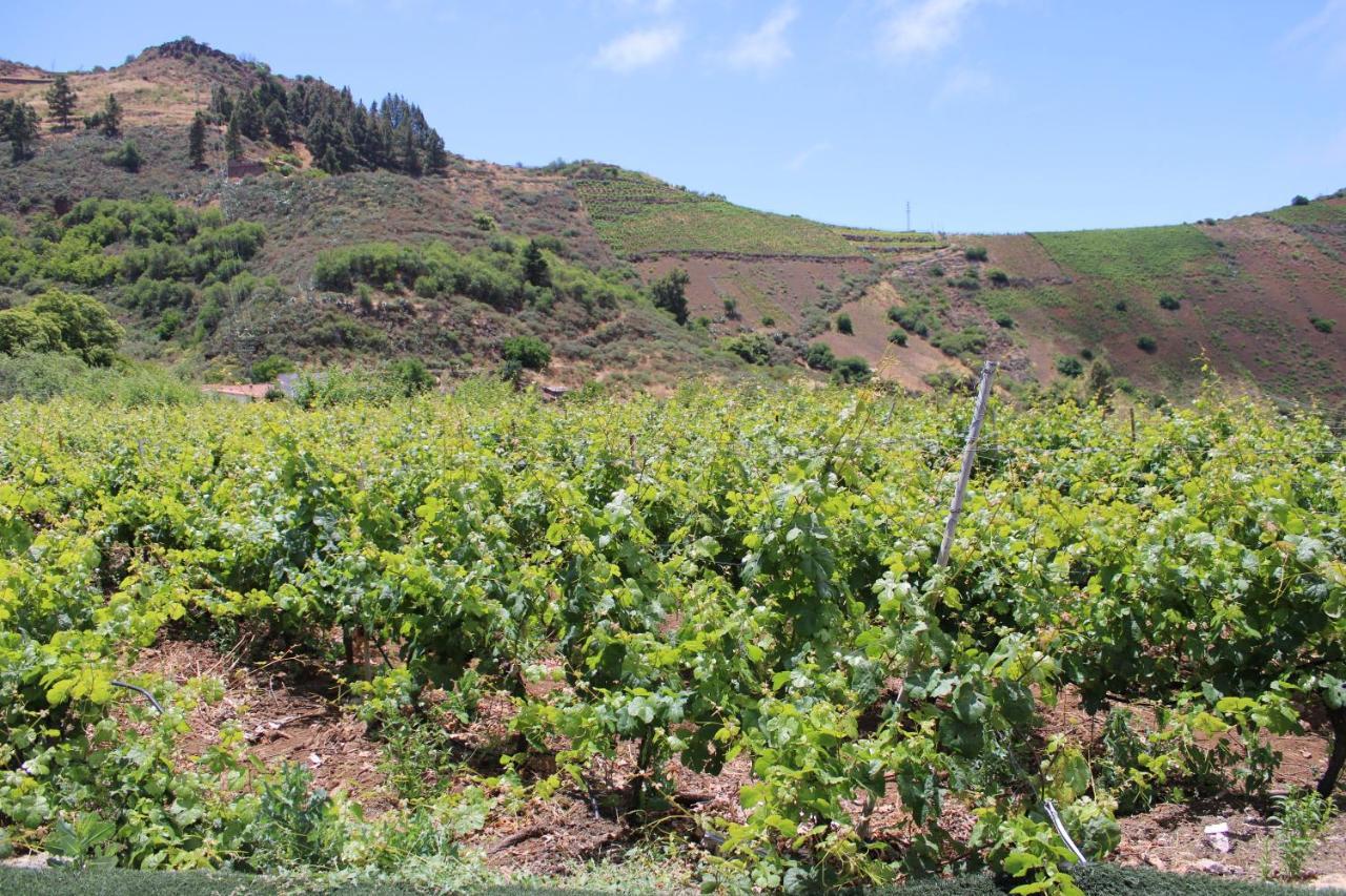 Finca El Cole Villa Las Palmas de Gran Canaria Dış mekan fotoğraf