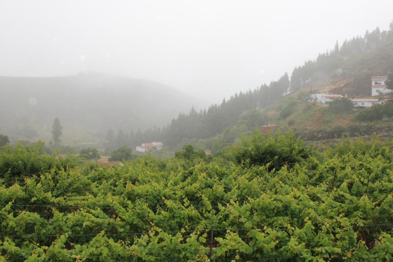 Finca El Cole Villa Las Palmas de Gran Canaria Dış mekan fotoğraf