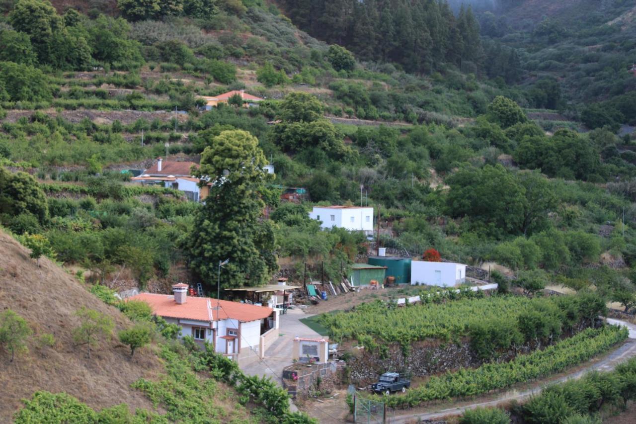 Finca El Cole Villa Las Palmas de Gran Canaria Dış mekan fotoğraf